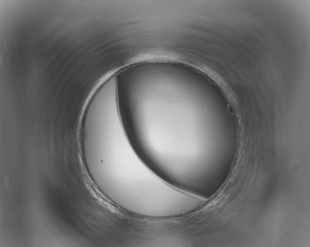 X0000060230864200510280936