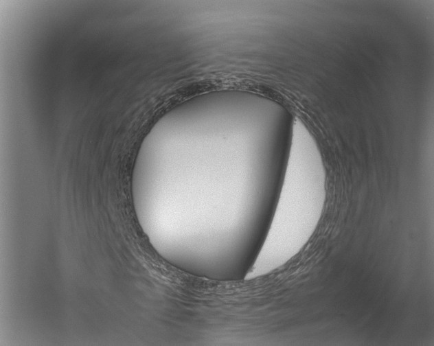 X0000060230865200510280935
