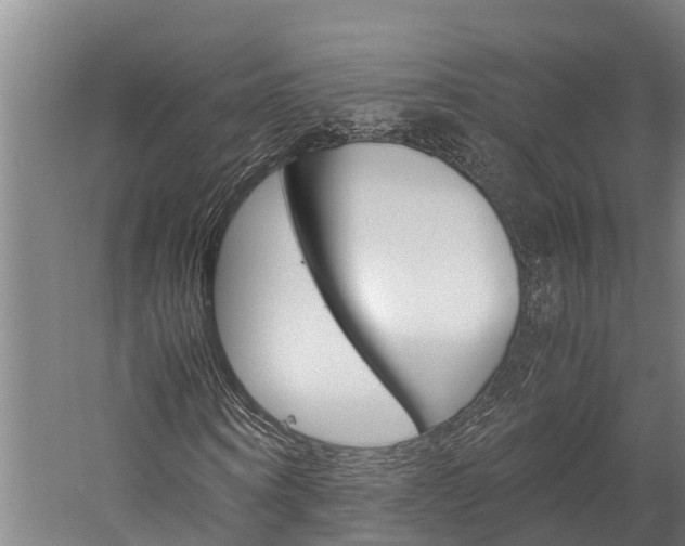 X0000060230866200510280935