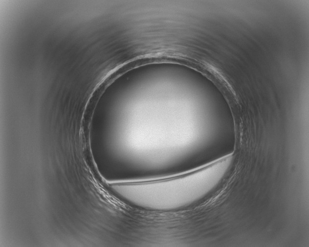 X0000060230876200510280935