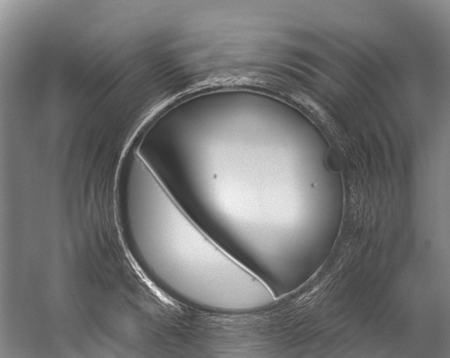 X0000060230894200510280935