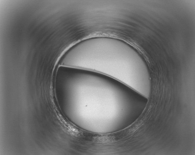 X0000060230896200510280935