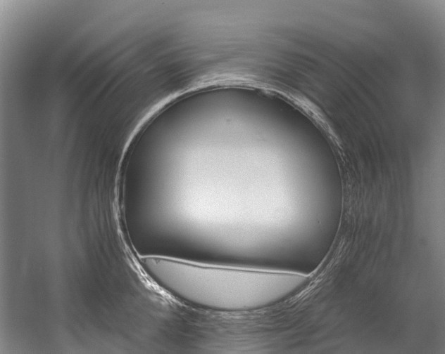 X0000060230904200510280934