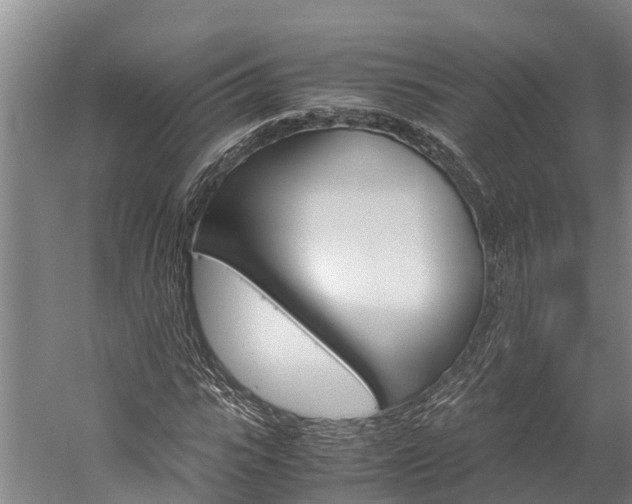 X0000060230919200510280934
