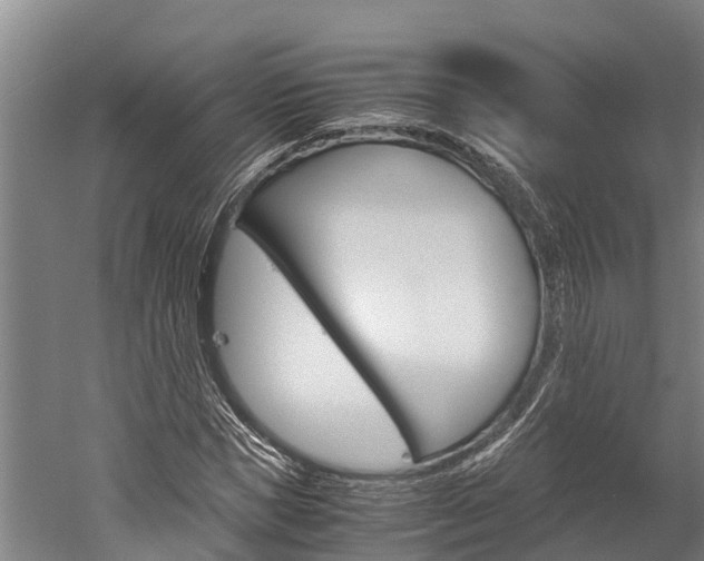 X0000060230921200510280934