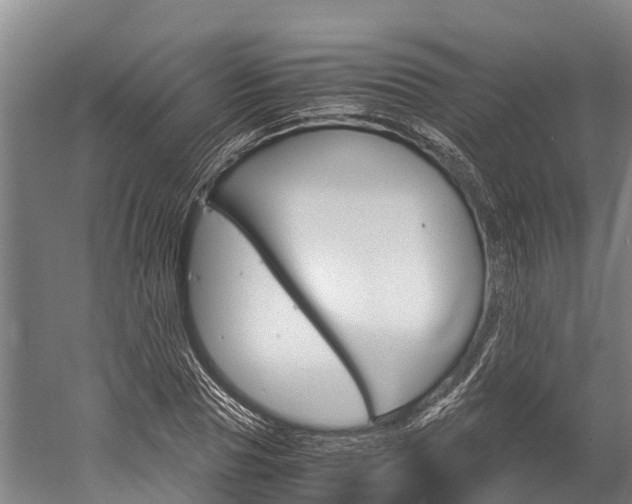 X0000060230929200510280934