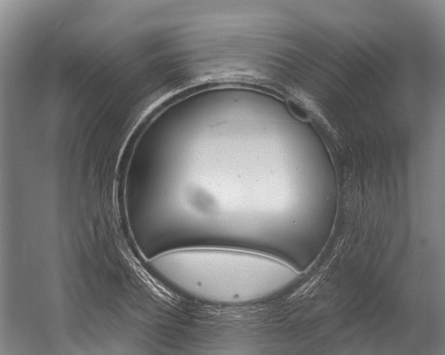 X0000060230932200510280934