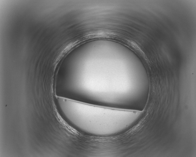 X0000060230938200510280934