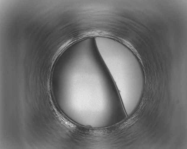 X0000060230946200510280934