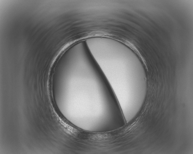 X0000060230947200510280934