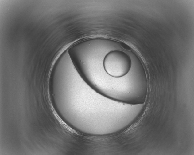 X0000060230949200510280934