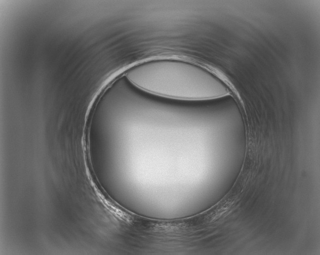 X0000060230951200510280934