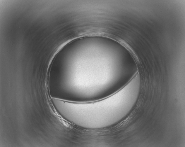 X0000060230956200510280934