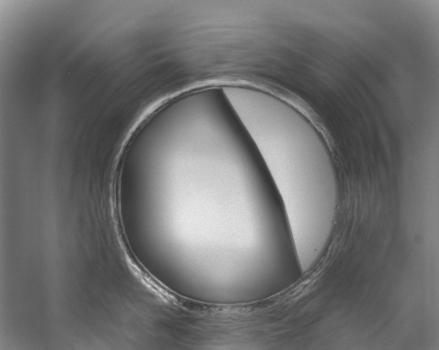 X0000060230958200510280934