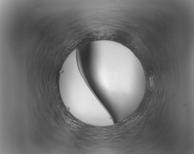 X0000060230963200510280933