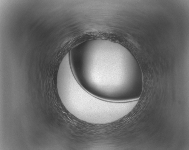 X0000060230965200510280933