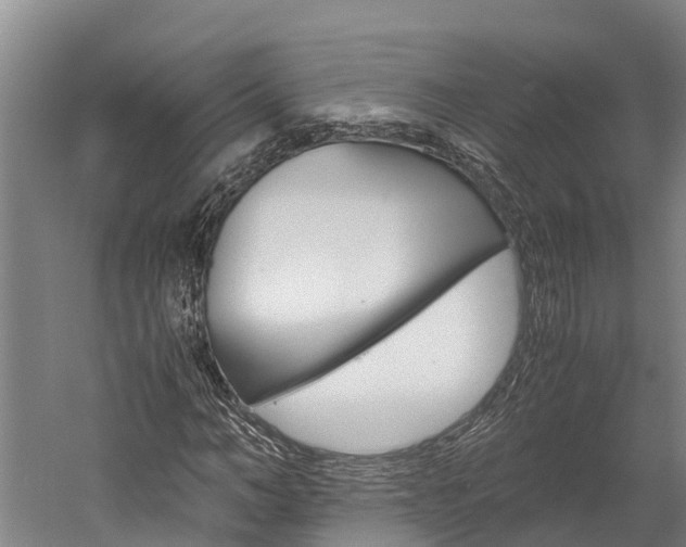 X0000060230966200510280933