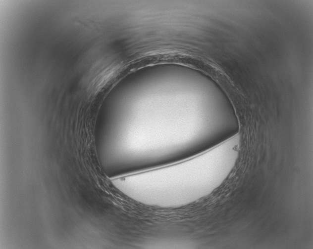 X0000060230967200510280933