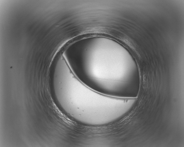 X0000060230972200510280933