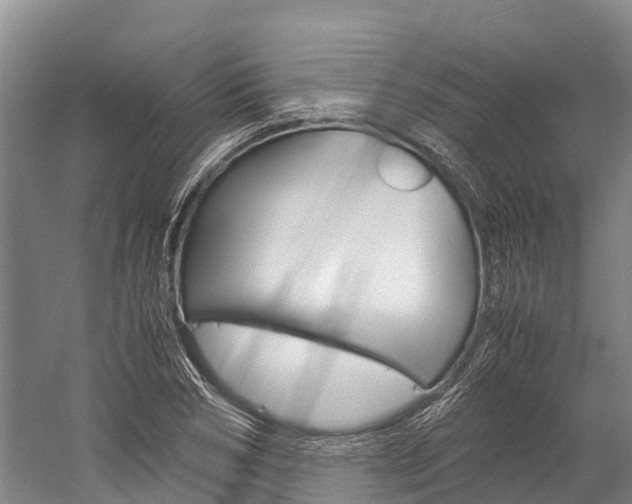X0000060230978200510280933