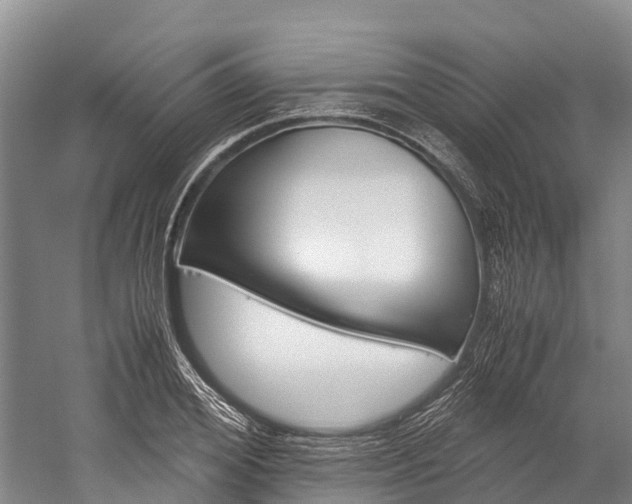 X0000060230980200510280933