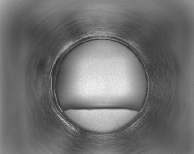 X0000060230982200510280933
