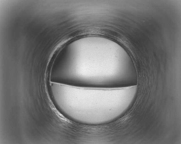 X0000060230987200510280933