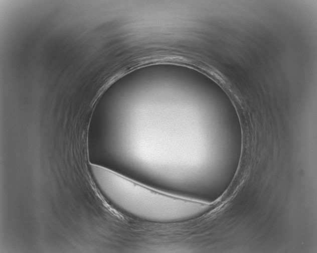 X0000060231001200510280933