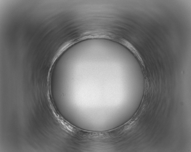 X0000060231002200510280933