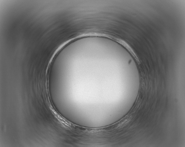 X0000060231004200510280933