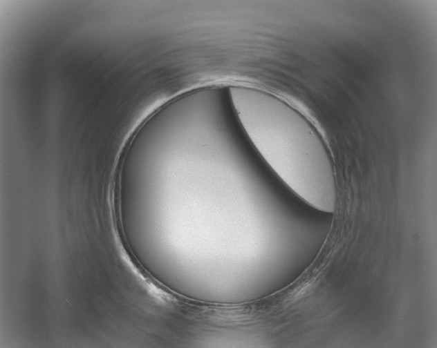 X0000060231007200510280933