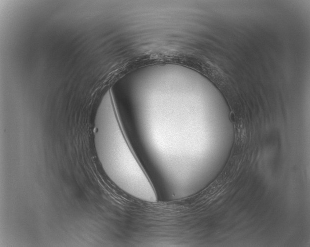 X0000060231012200510280932