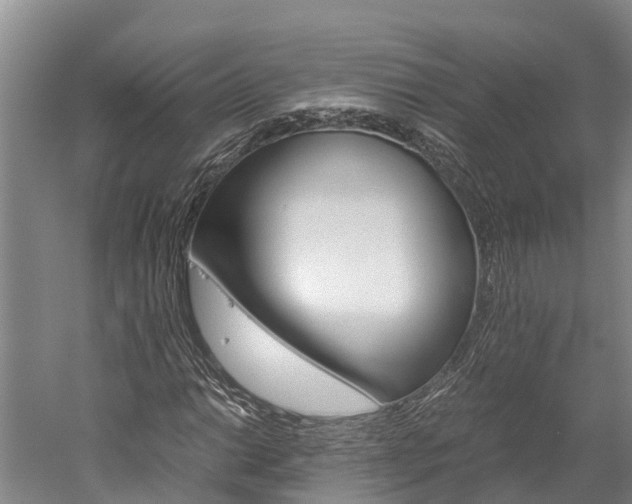 X0000060231014200510280932