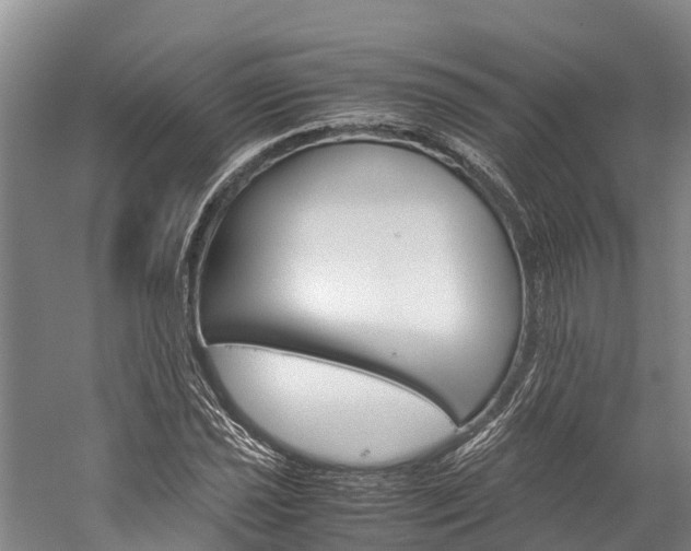 X0000060231021200510280932