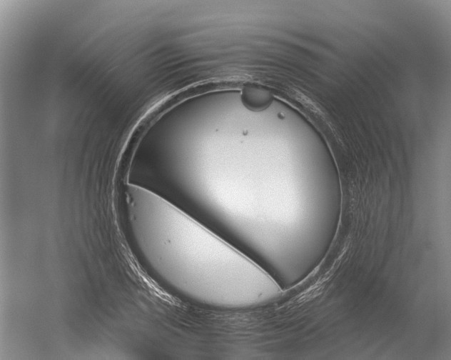 X0000060231029200510280932