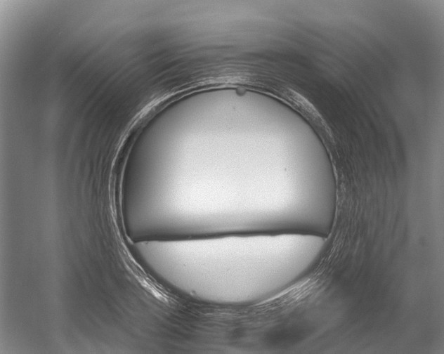 X0000060231035200510280932