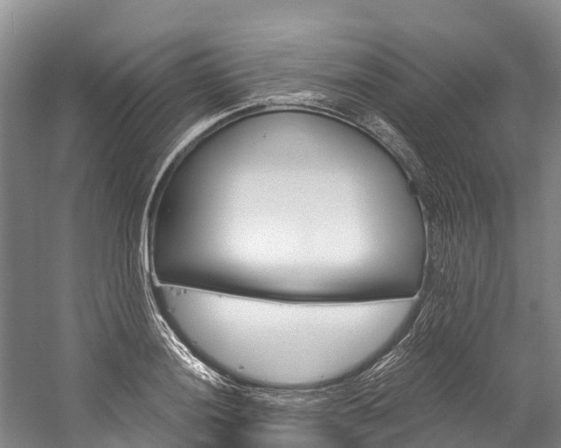 X0000060231036200510280932