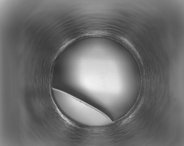 X0000060231041200510280932