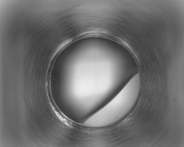 X0000060231042200510280932