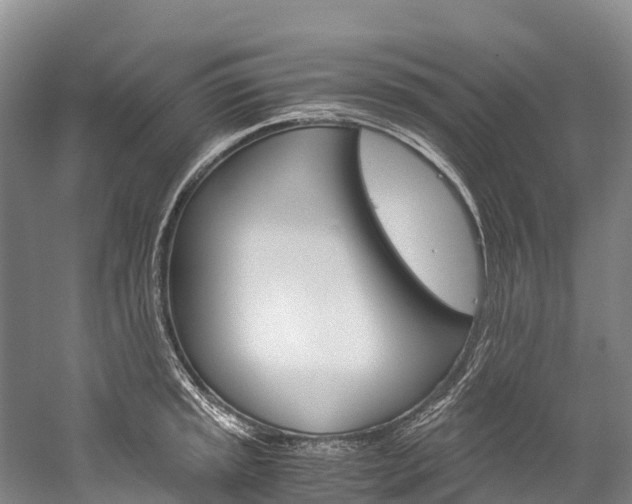 X0000060231045200510280932