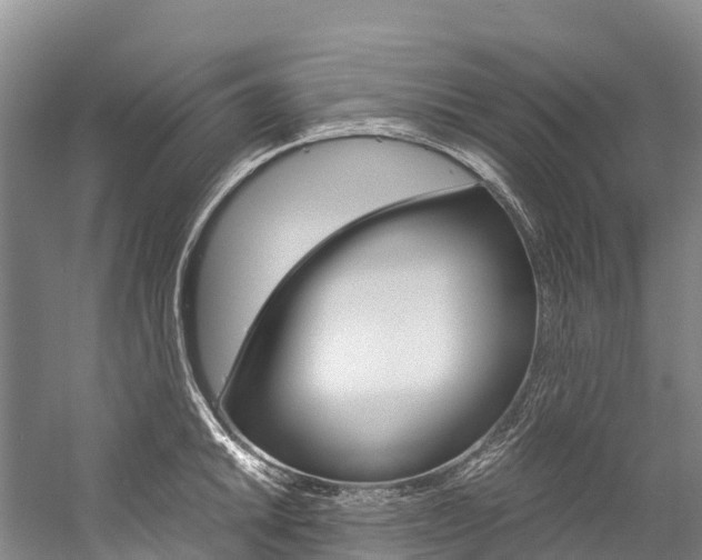 X0000060231046200510280932