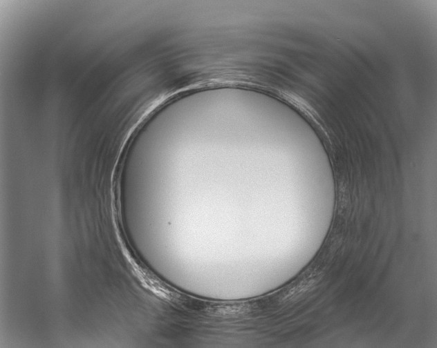 X0000060231047200510280933