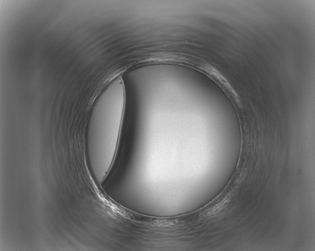X0000060231049200510280933