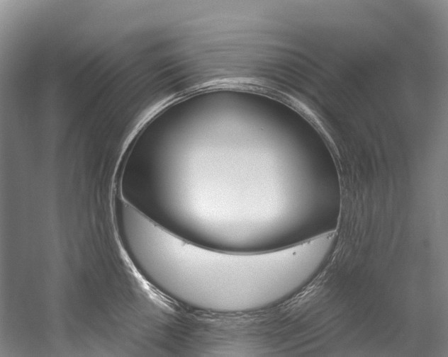 X0000060231050200510280933