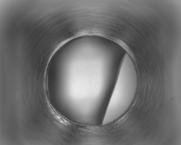 X0000060231052200510280933