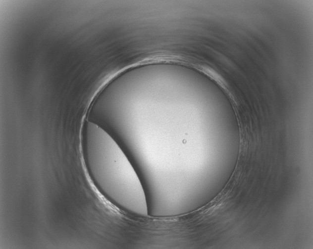 X0000060231055200510280933