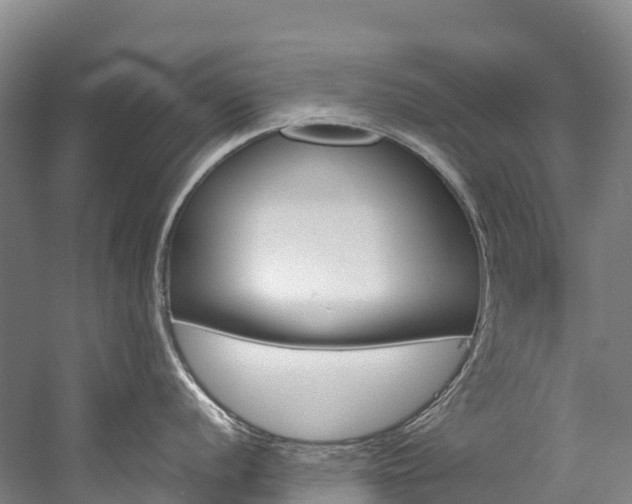 X0000060231056200510280933