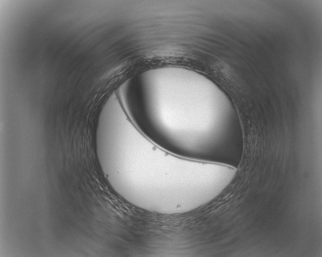 X0000060231062200510280932
