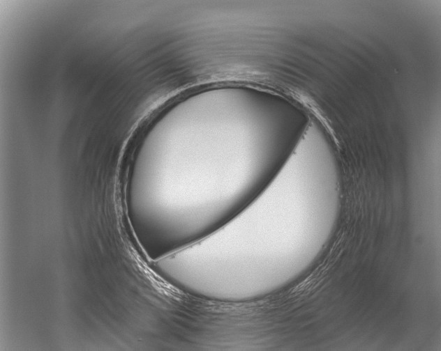 X0000060231072200510280932