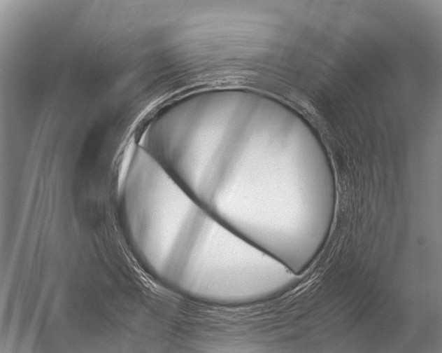 X0000060231075200510280932
